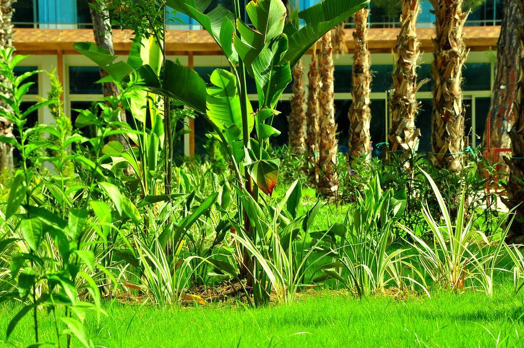 Maya World Hotel All Inclusive Side Buitenkant foto